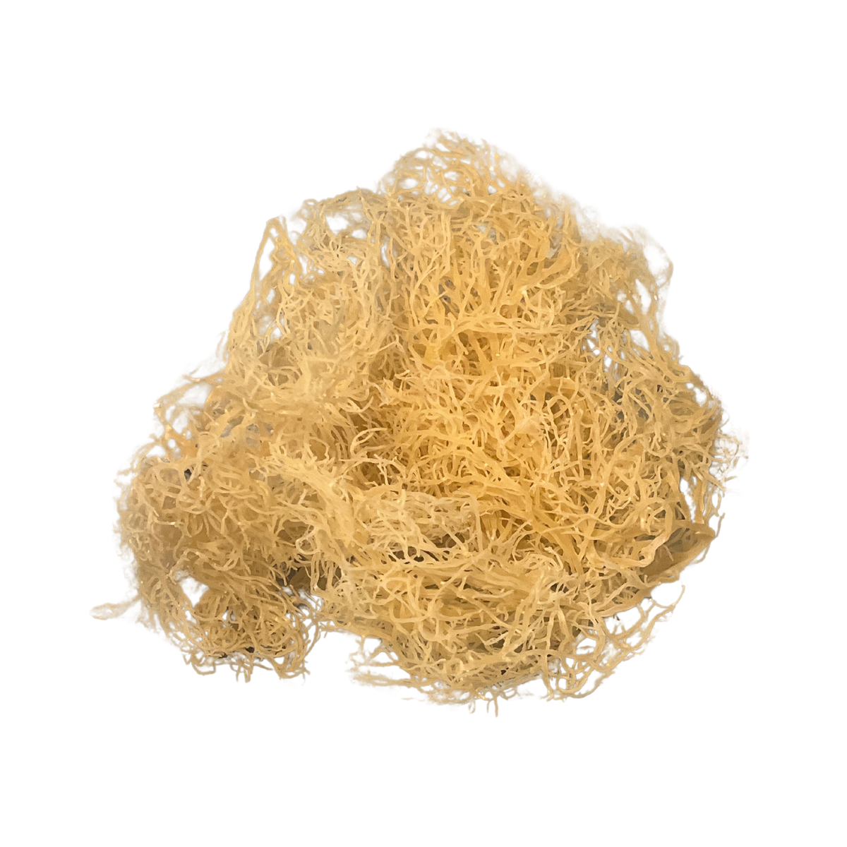 Wildcrafted Sea Moss