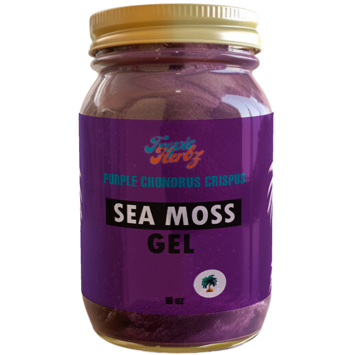 Elderberry Sea Moss Gel (16oz)