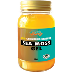 Gold Chondrus Crispus Seamoss